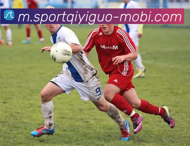 数据防护可视化