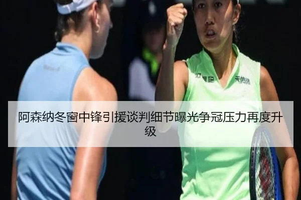 阿森纳冬窗中锋引援谈判细节曝光争冠压力再度升级(qyg)